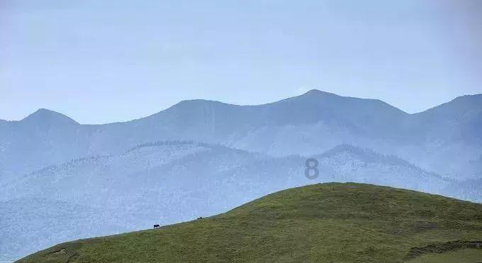 “卡农”穿拖鞋办业务成“显眼包”,警方一查竟是洗钱团伙